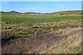NT2657 : Sheep pasture near Mount Lothian by Jim Barton
