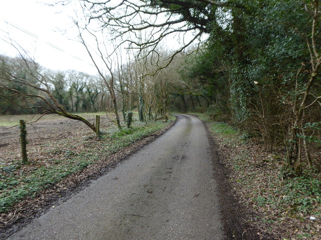 Minor road alongside Demelza Castle