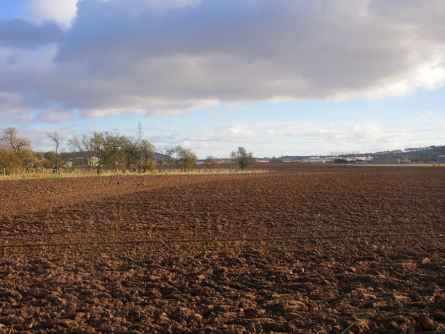 Field adjacent to A90
