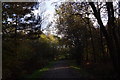 Track in Alice Holt Forest