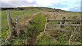 Path from Boulby to Staithes