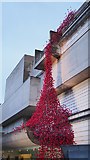 J3372 : Poppies: Weeping Window, Belfast by Rossographer