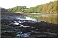 Gillan Creek at low tide