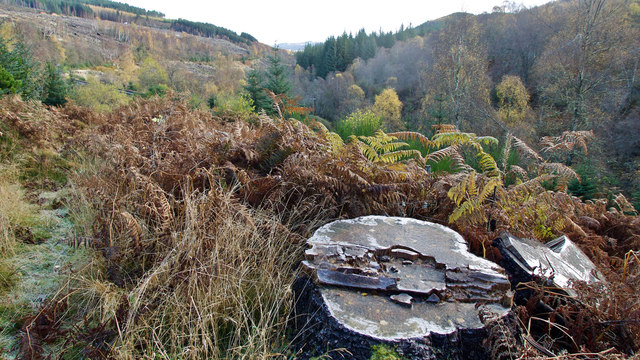 Beside the Dingwall to Kyle railway line east of Raven Rock