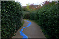 Stream Walk, Whitstable