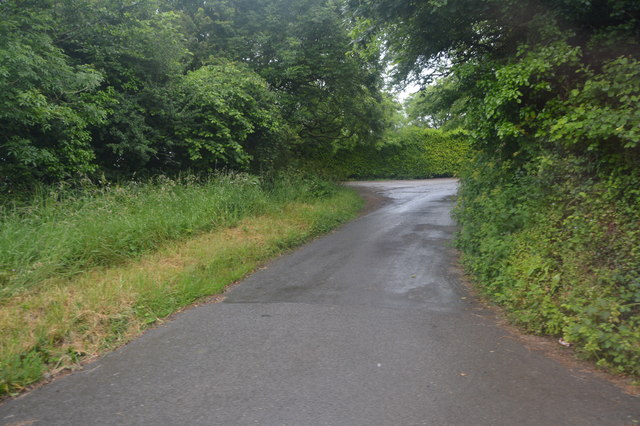 Lane to Polston Park