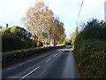 View WNW along Bryansford Road