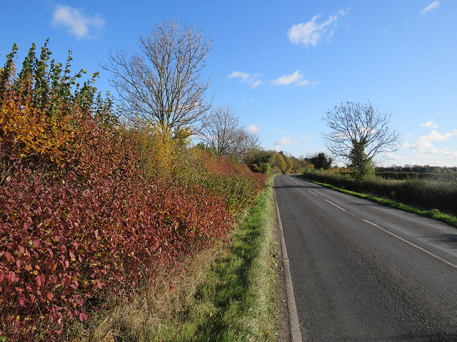 On Chippenham Road in autumn