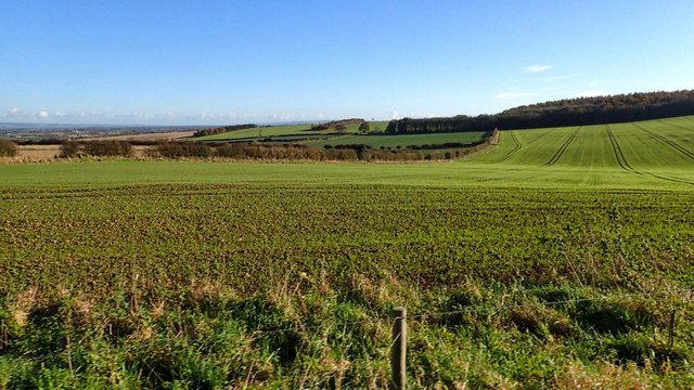 Field at the top of Slingsby Bank