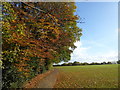 Autumn colours in Shrewsbury Park