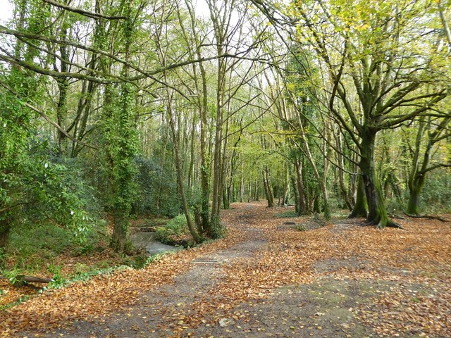 Path in Tehidy Country Park