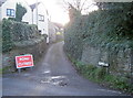 Frog Lane is closed