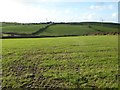 Farmland and Menerdue Farm