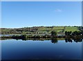 The Middle Bank between the Newry Canal and Newry River