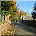 Exning: red brick and autumn leaves