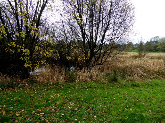 Wetland area, Mullaghmore