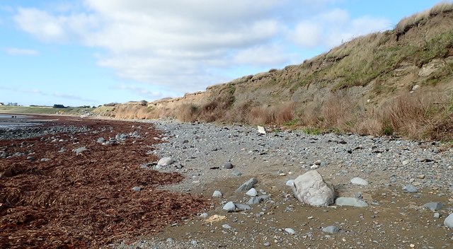 View West along the cliff line between Cooley Point and the Templetown road