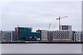 Royal Wharf, North Woolwich, from across the Thames at Charlton