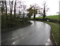 Bend in the B4521, Cross Ash, Monmouthshire