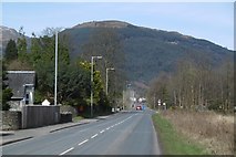 NS1581 : A815, beside the Holy Loch by Richard Webb