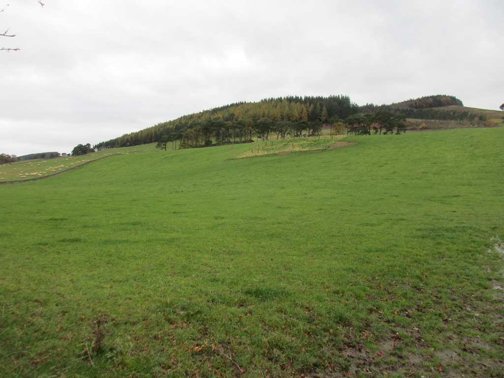 Kerr's Knowe © Jonathan Thacker Cc-by-sa/2.0 :: Geograph Britain And ...