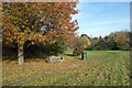 Peggy Bedford Biodiversity Site