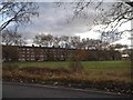 Flats by Wanstead Flats, Manor Park