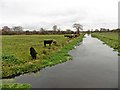 North Drain from Blakeway Bridge