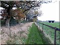 NZ1269 : Footpath west of South Dissington by Andrew Curtis