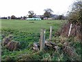 Footpath west of Eachwick House