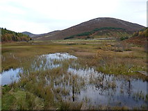 NH5921 : Marshland downstream of Loch Conagleann by Richard Law
