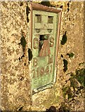 SS8994 : Inscription on triangulation pillar by Alan Hughes