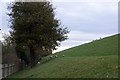 Sheep on the flanks of Bessborough Reservoir, West Molesey