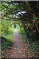 IOW Coastal Path