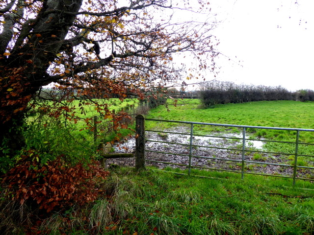 Muddy entrance to field, Bancran