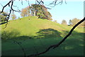 ST7475 : Trees on hill, Dyrham Deer Park by M J Roscoe