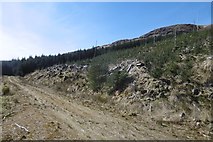 NS0785 : Logging road, Glen Tarsan by Richard Webb