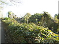 Derelict house, Coedely