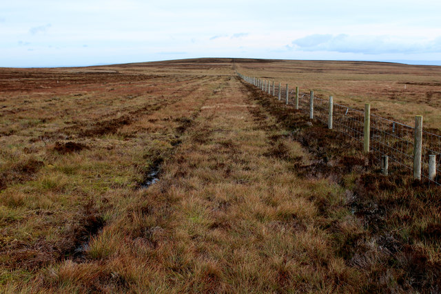 Fence Line between High Carl and Gibbon Hill