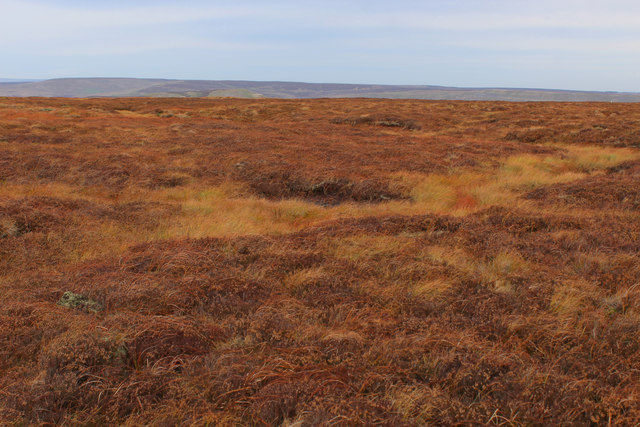 Moorland between High Carl and Gibbon Hill