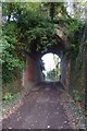 SO7843 : Railway underpass near Warren Farm by Philip Halling