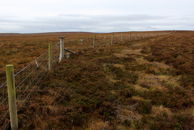 Fence Line East of Gibbon Hill (2)