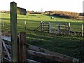 Footpath east of Burnside Farm