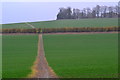 Path across fields north of Ashley