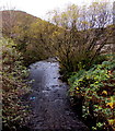 Upstream along the Rhondda River, Treherbert