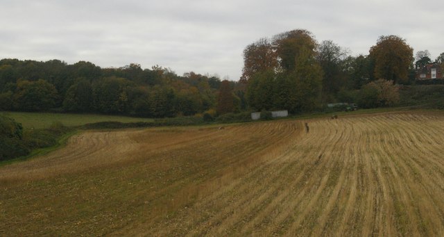Woodbridge: looking up the valley to Maidensgrave, from the railway