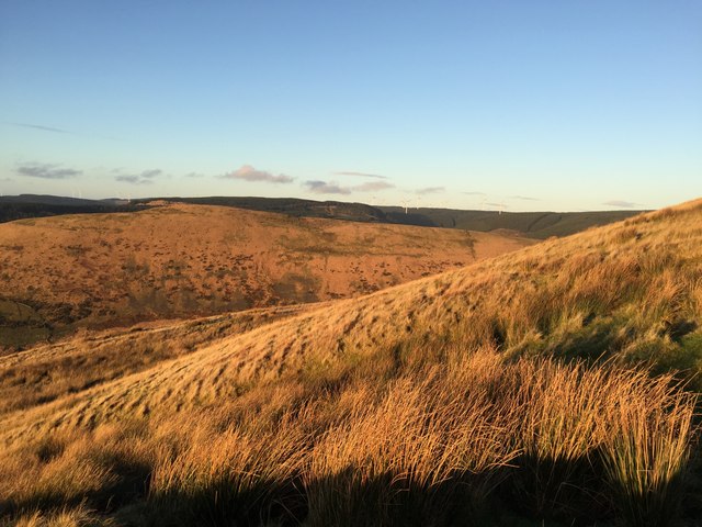 Autumn grasses © Alan Hughes cc-by-sa/2.0 :: Geograph Britain and Ireland