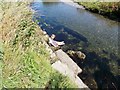 Afon Leri Borth