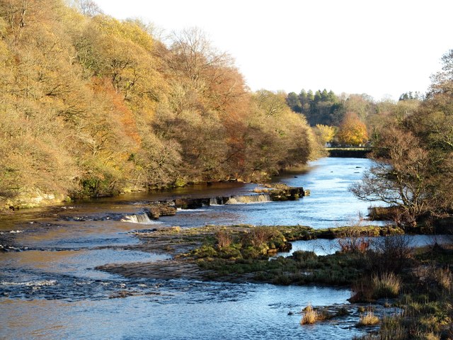 Downstream from Whorlton Bridge