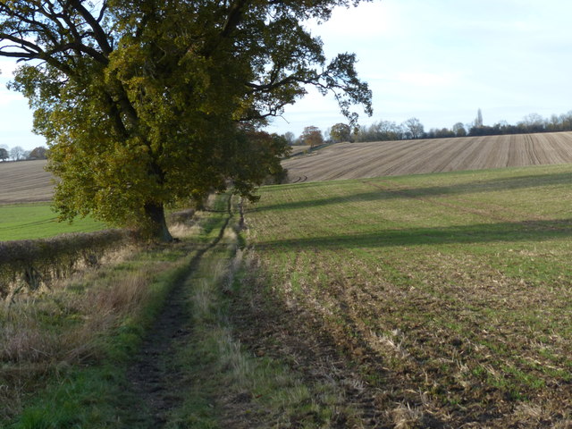 Farmland near Mere Lane, Oadby